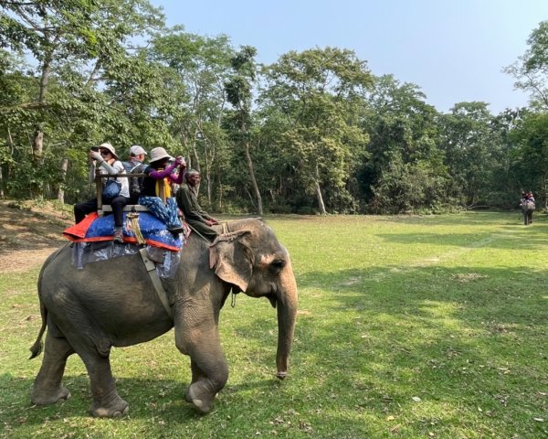 尼泊爾奇旺國家公園4天三夜2788899