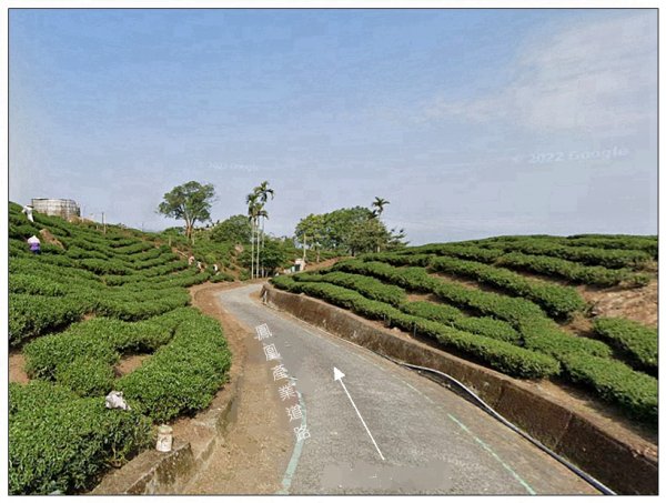 鳳凰谷步道(鹿谷鄉)2690457