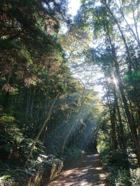 貴妃山、那結山O走1478341