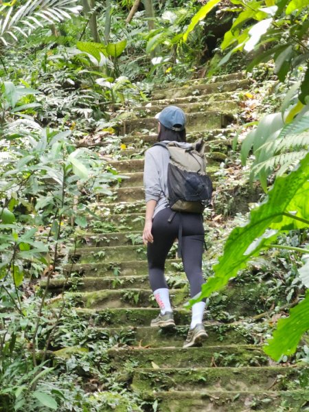 2025年臺北大縱走第六段：中華科技大學至捷運麟光站2755784