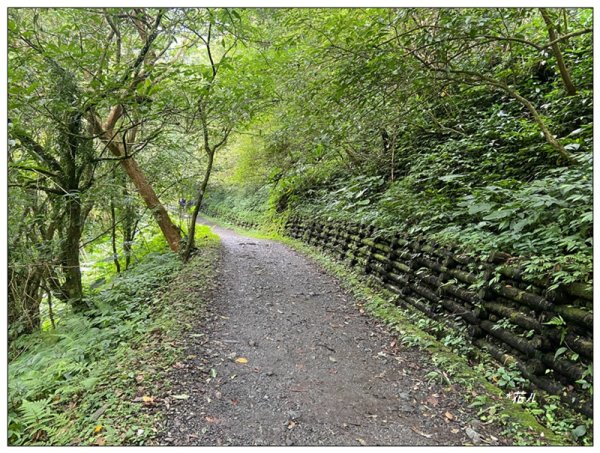 聖母峰、三角崙山 (抹茶山) 連走2802193