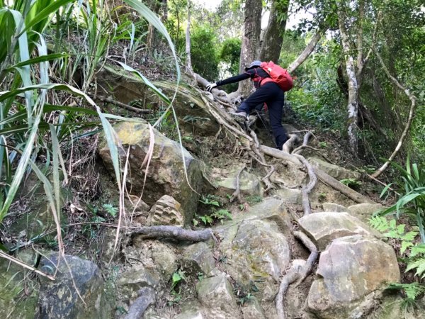 五寮尖上大風狂448886