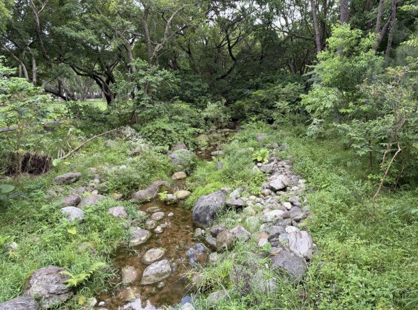 [2026臺北健走趣-06/50] 2026_0712_青年公園3098537