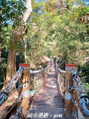 【台中和平】生態廊道。 雪山坑環線步道x巨人之手觀景點2954018