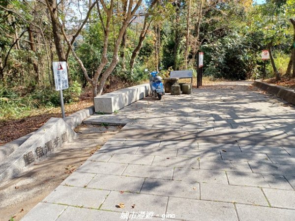 【南投埔里】天旨宮鰲頭山步道x虎頭山鯉魚潭步道x虎頭山觀景平台連走2988489