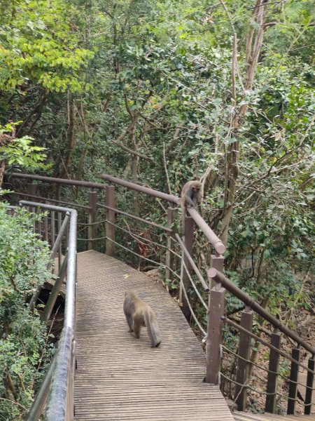 2023.12.24 高雄壽山2835314