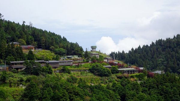 太平山（翠峰,茂興,鐵杉林,見晴）1097178