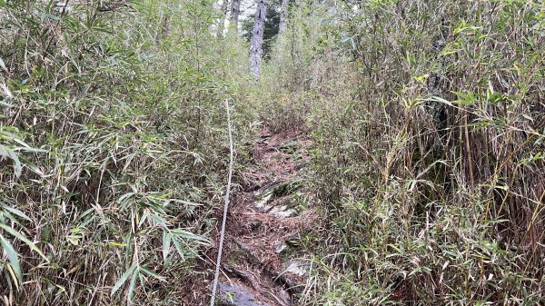 將軍廟上天鑾池上下2162812