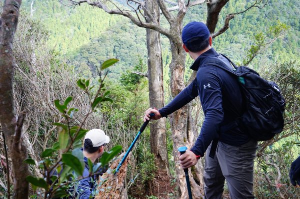 新竹關西鎮 水田林道之貴妃&那結山連走1539695