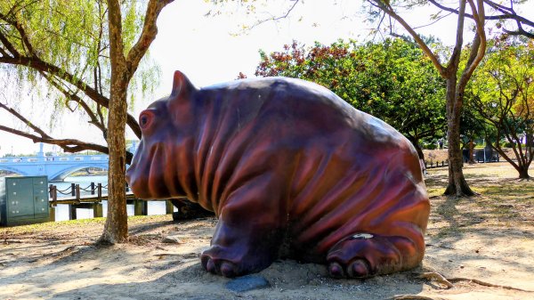 琴弦上的白宮2987574