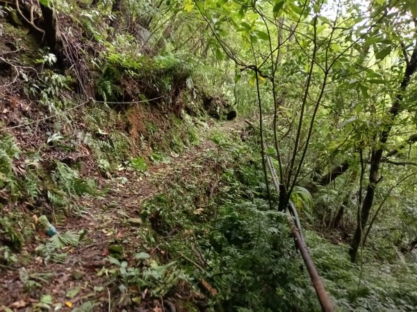 平溪區三功大厝+番子坑山+千階嶺步道O型2781113