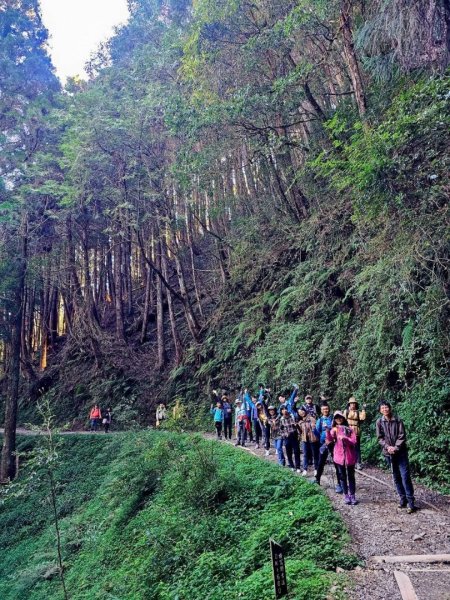 1141122特富野古道2945759