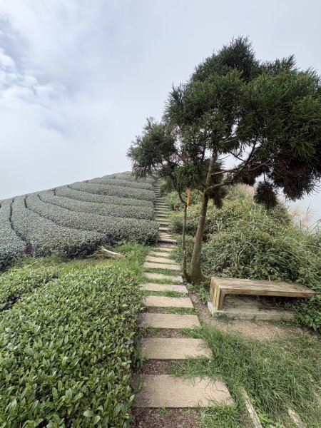20251024雲嘉五連峰+碧湖山2924236