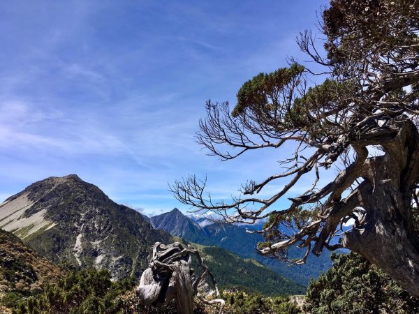 北ㄧ段-審馬陣-南湖北山-南湖北峰-南湖大山-南湖東峰