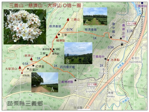 三義山、慈濟山、大坪山 連走桐花之旅3043840