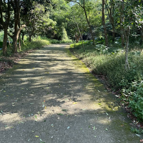 20250927 彰化－臺灣百大必訪步道坑內坑森林步道2969085