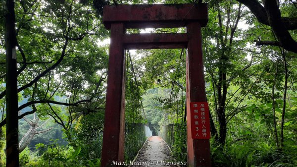 《台中》優美稜線｜橫嶺山自然步道（大雪山社區南登山口）202505312800263