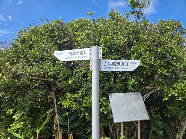 大山母山（小百岳）3007468