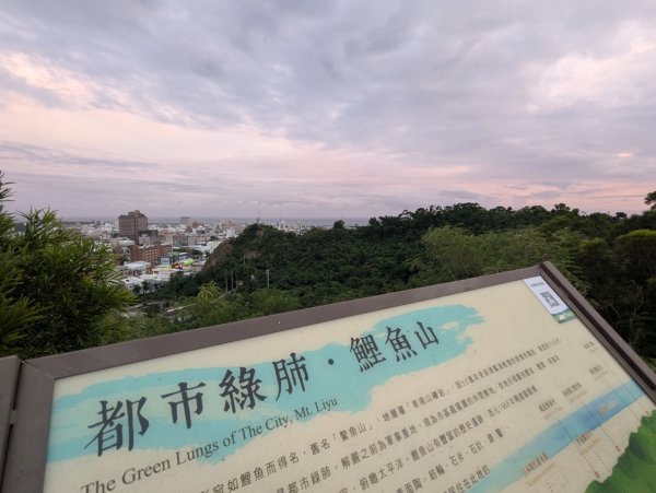 台東鯉魚山2924380