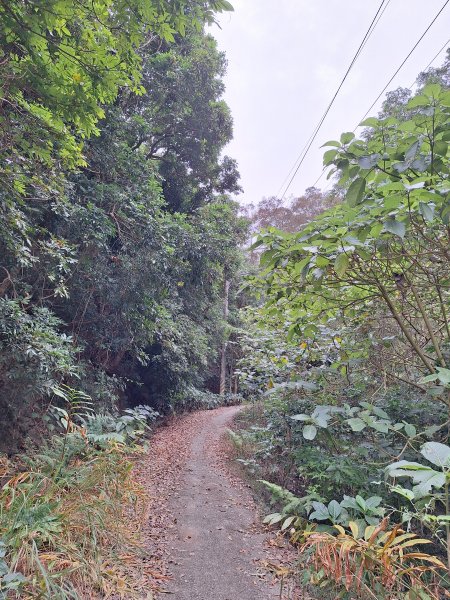 烏山嶺水利古道+鳥子嶺O型2967439