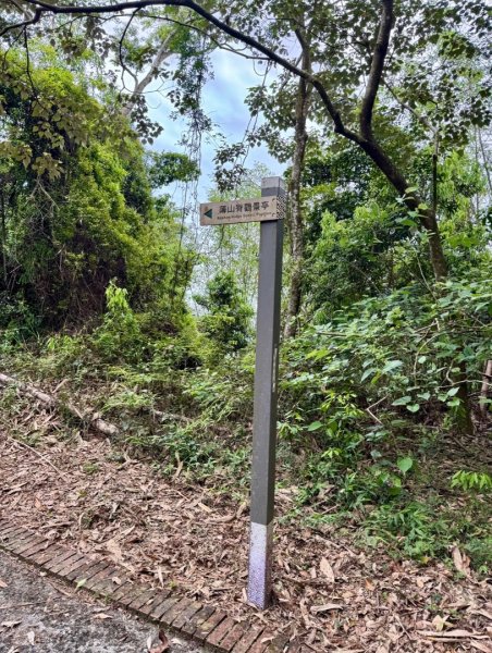 向山走頭社賞花海 鐵馬快閃水社碼頭3049031