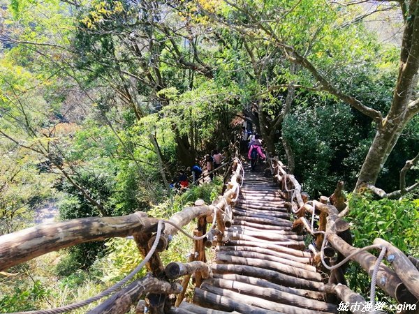 台中北屯~藍天綠意練腳力~大坑3號步道1231033