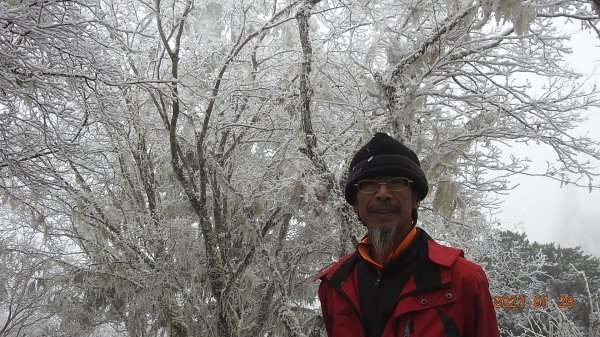 霧茫茫雪白冰封世界-太平山首度追霧淞成功202301282009594