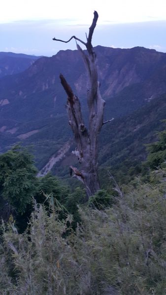 玉山主峰步道 2017 06 27140386