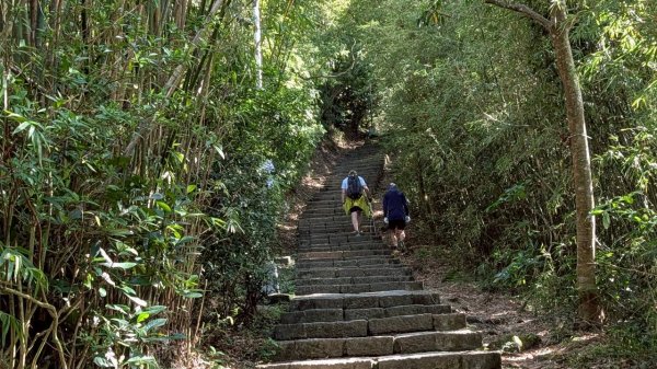 硬漢嶺步道(觀音山)2935146