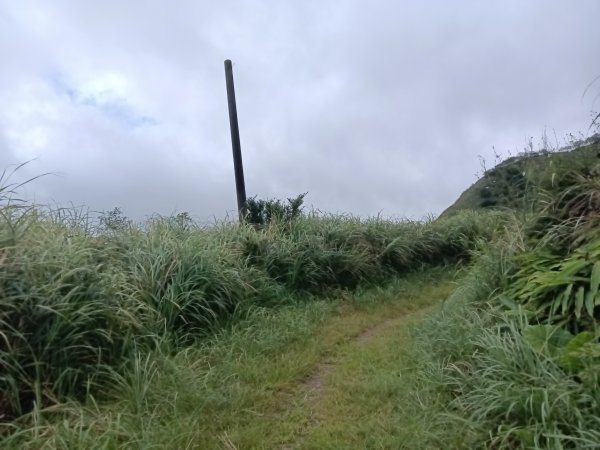 瑞芳區找尋半屏大瀑布未果2880944