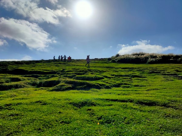 ［擎天崗環形步道］［頂山石梯嶺步道］2357806