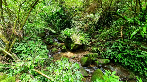 大砲岩，石壇山，大屯溪古道，三板橋，白雞山，雞罩山，石門內尖山，中和外員山，中坑山東北峰1738131