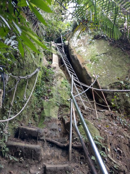 南港山攀岩步道探察 & 四獸山步道1423237