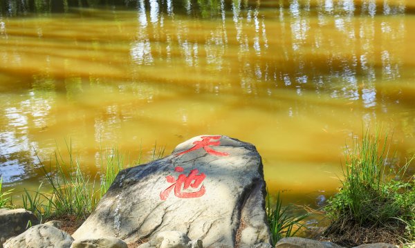 秋遊福壽山順走合歡溪步道690371