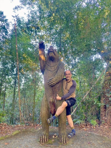 20251014雪見遊憩區 🚴‍♂️咖搭車走司馬限林道上東洗水山兩刷北坑山至大板根2916427