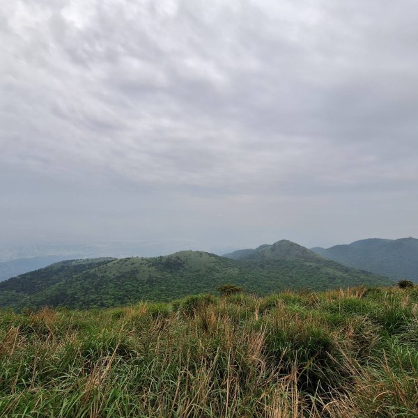 2025臺北大縱走-小油坑到二子坪-第二段完成!2781350