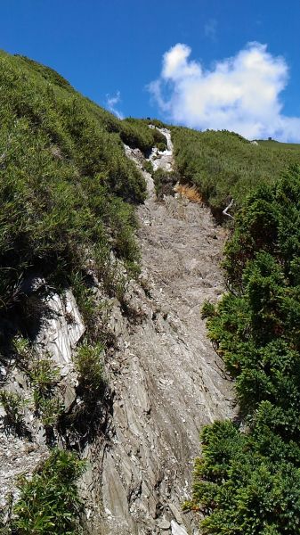 合歡山主峰、東峰、石門山及合歡尖山之行360946