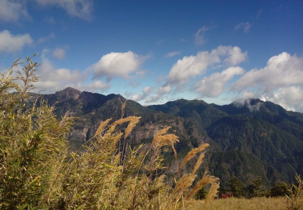 雪山 不下雪532967