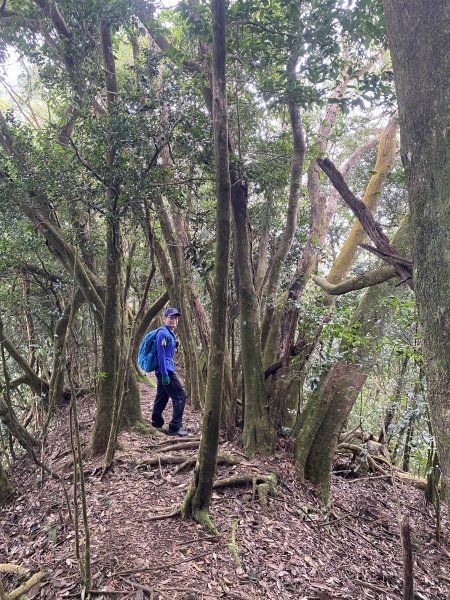 坐公車接駁的神仙縱走2707422