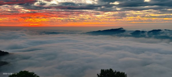 #馬那邦山 #夕陽 #雲海 #火燒雲 12/282971588