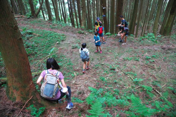 熱門山的冷門路，油羅山(二上四下)O型1866014