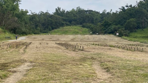 尚書林山步道(鳳凰山)2730912