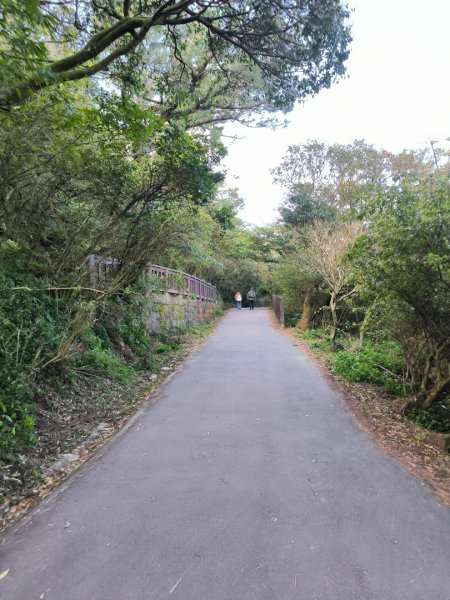 台北大縱走第一段3015743