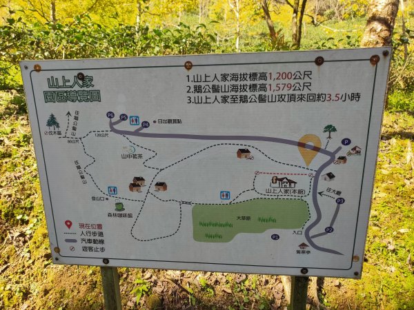 1121120鵝公髻山2355235