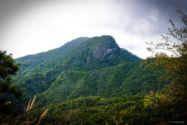 [冬訪大霸聖山岳參行]-大鹿林道東線榆金楓紅與九九山莊精選輯2974725