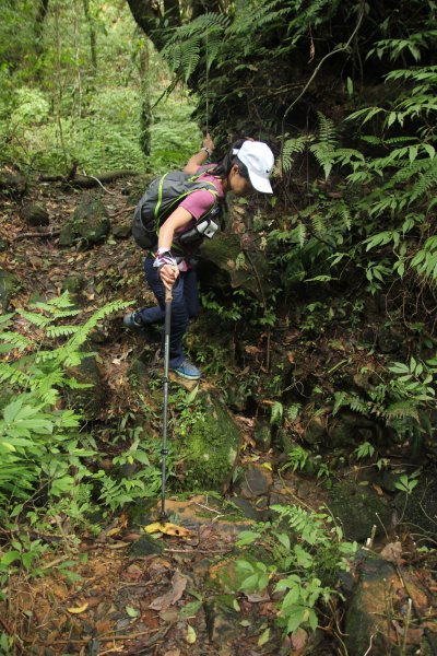 淡蘭古道北路坐山望海1253891