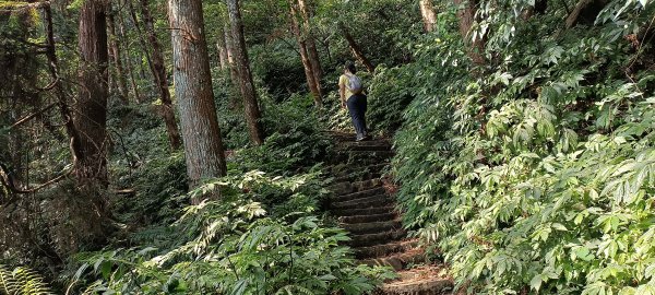 2024/05/10-仙山登山步道2502663