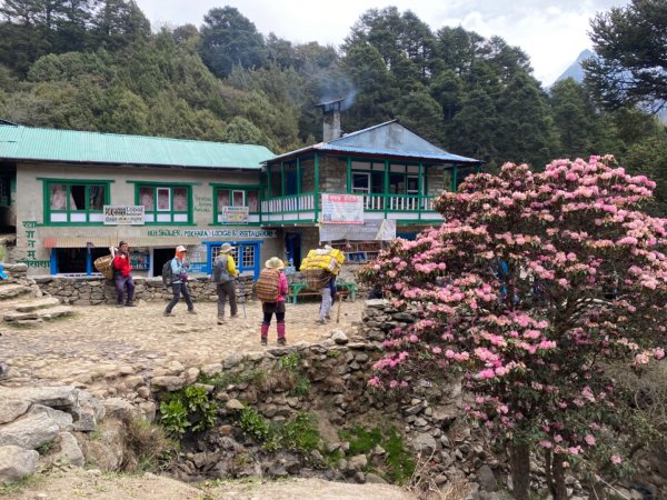 尼泊爾聖母峰EBC基地營❤️風景篇2791070