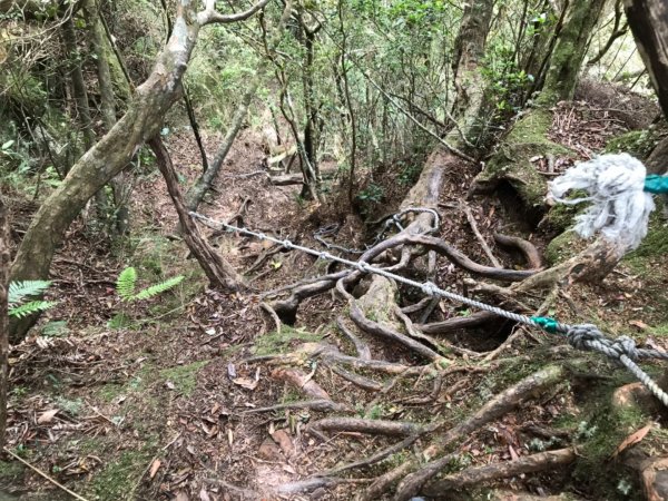 嘎色鬧走那結山1370944