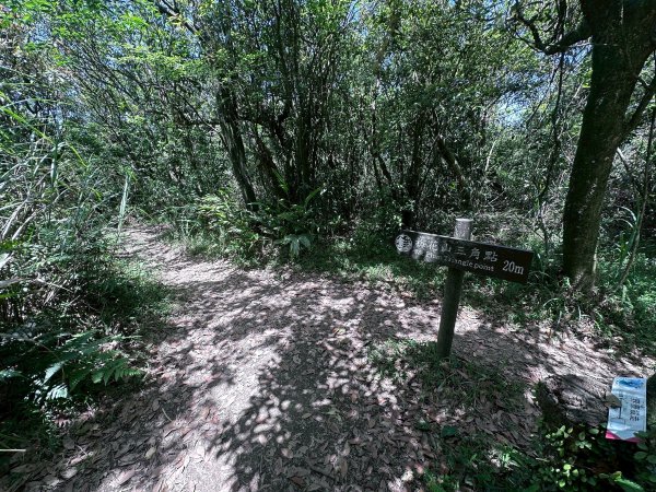 台北大縱走第四段2766855